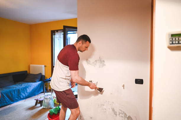 Professional Mold Remediation in Cottage City, MD